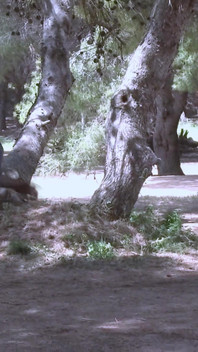 Sexy Video Culanta Makingof