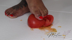 Mulan Blossom: Tomato Smash