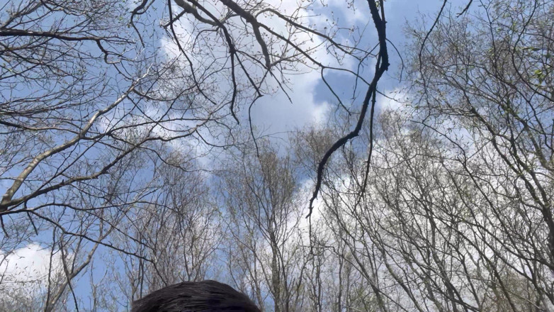 KingYordanov: Anal in the Woods Part 1