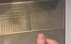 Jerking off in Cinema Wc