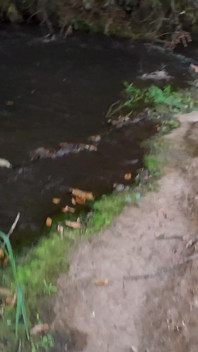 L'incontro con uno sconosciuto alla cascata finisce con sesso.