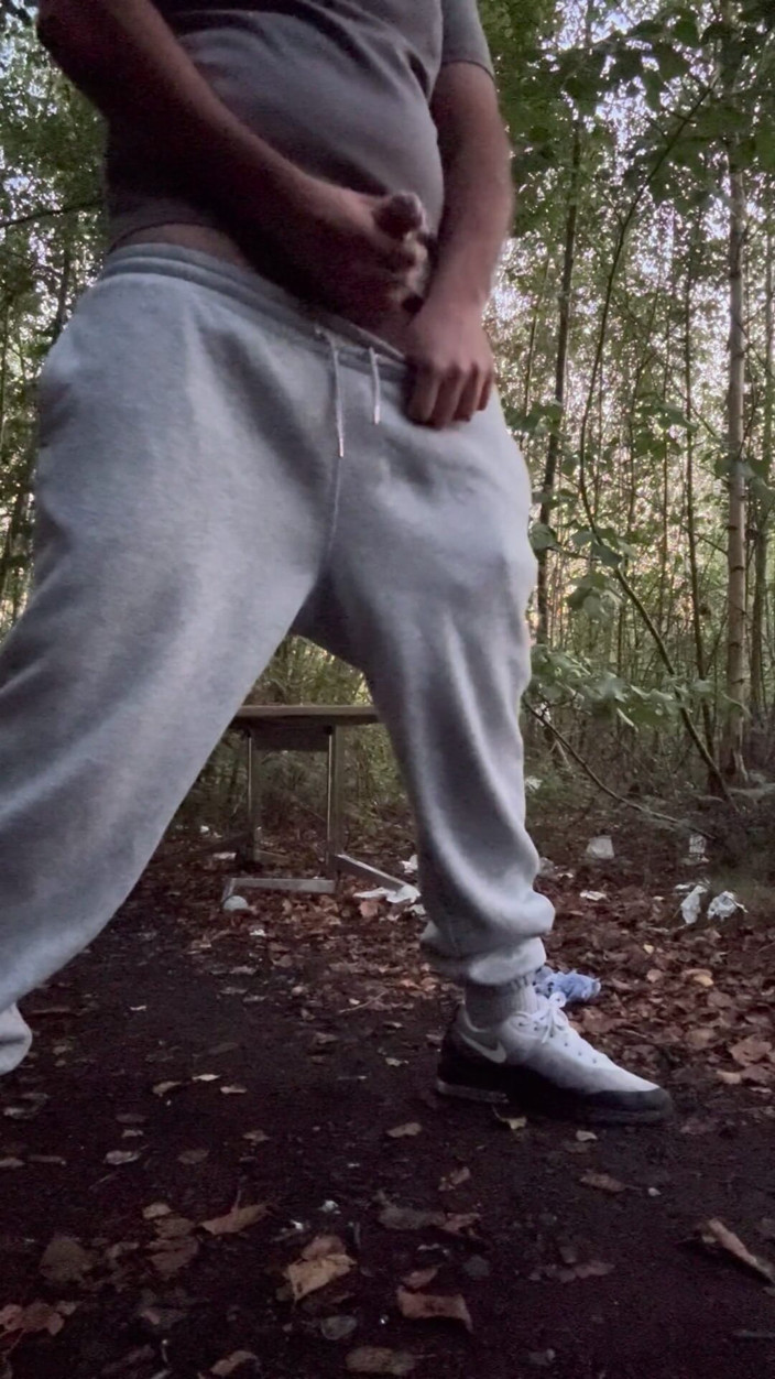Growing teddy: Dejó caer una carga en el bosque