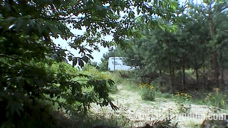 Sextermedia by Pete: Duplo no swinger mobile