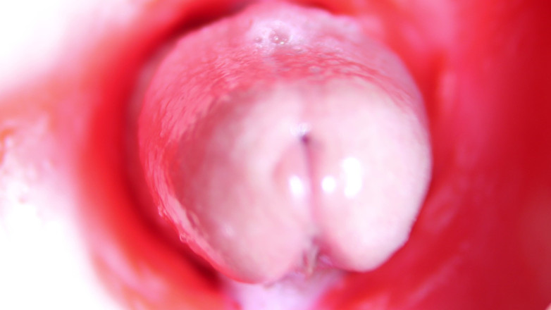 SEXY_GUYBEST: Camera in anaal: bijna klaarkomen in de kont! Beste interne...