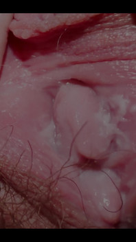An Extreme Close-up of the Creamiest Pussy
