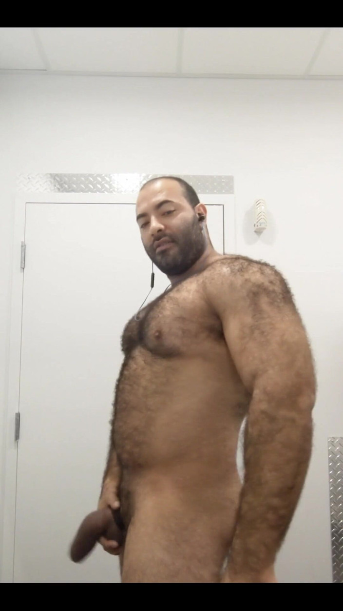 Lobo: Big Bull