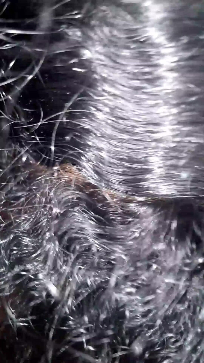 Dorelviss: Fucking My Stepsister