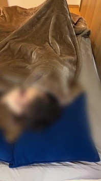 Denní sex nevěrného páru