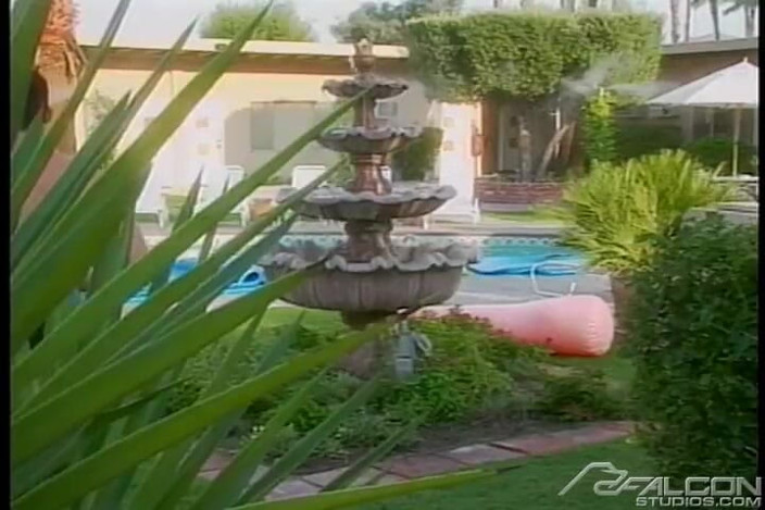 Falcon Studios: Summer Reunion