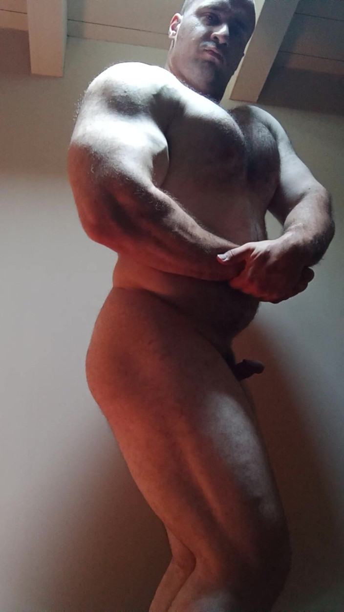 Markwolf: Musculoso