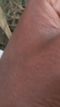Desi Mahol