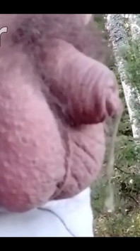 Pissing in the Woods