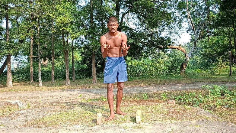 LinearOrnament35: Fiting Power