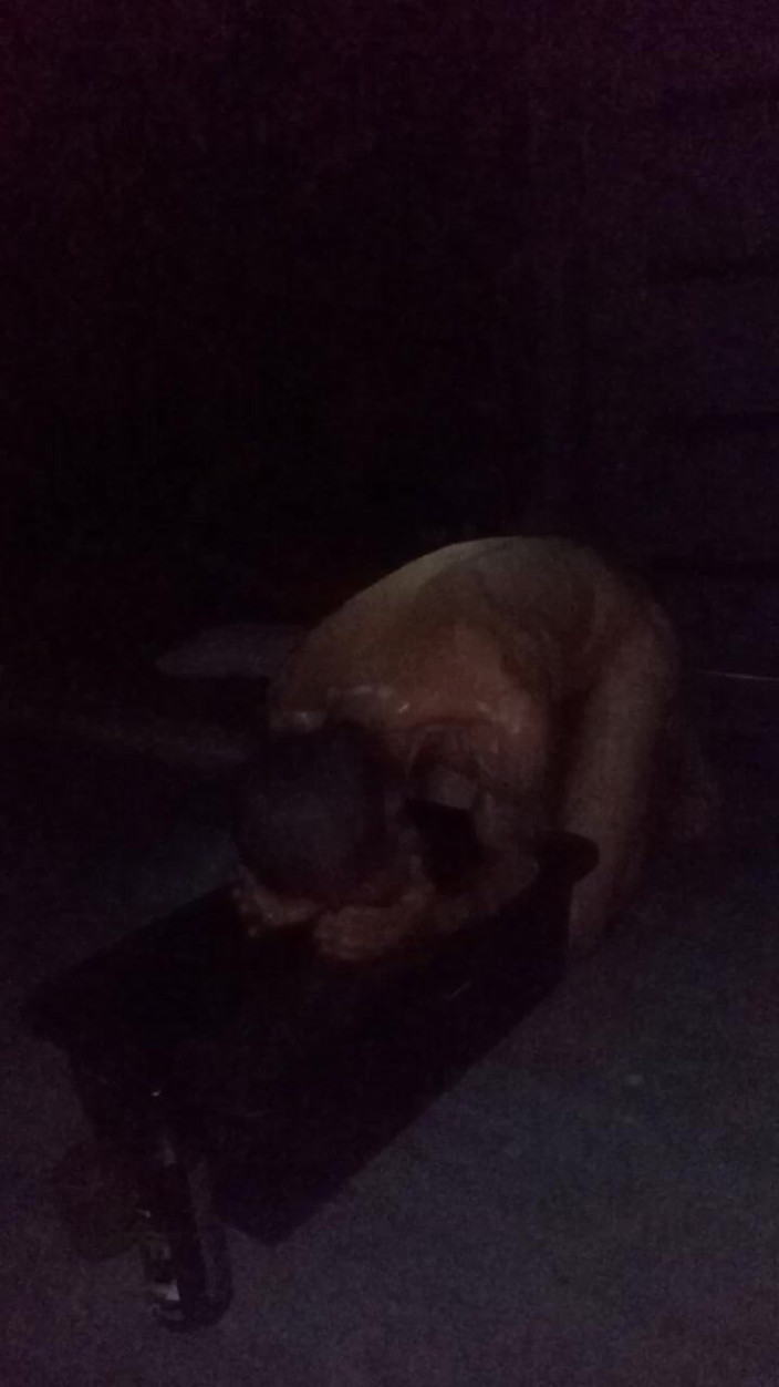 Red696969: Porno-dusche