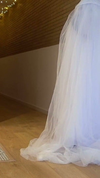 The Vampire Bride