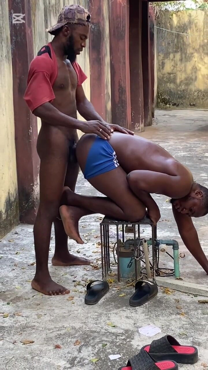 BlackDanie_production: 后院钻孔