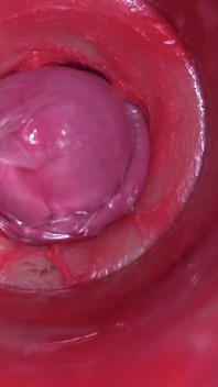 Camera in poesje: krachtig sperma in poesje! Beste interne asmr