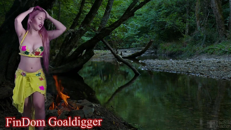 FinDom Goaldigger: Cum control