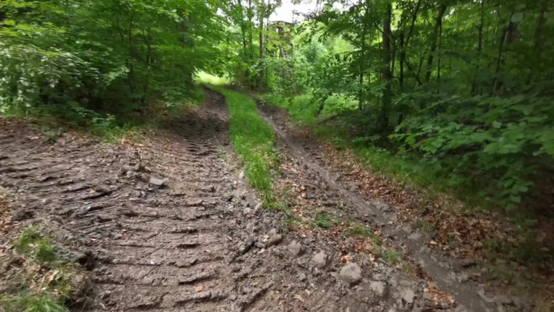 Bouncy Tits Action: Vackra bröst slog knappast