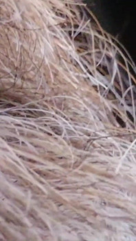 Líbání, Plivání a Šukání Mé Kundičky Do Pusy