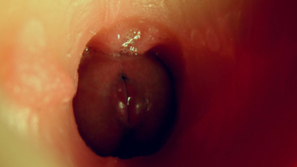 SEXY_GUYBEST: Prachtig nat diep gat voor groot pikplezier!