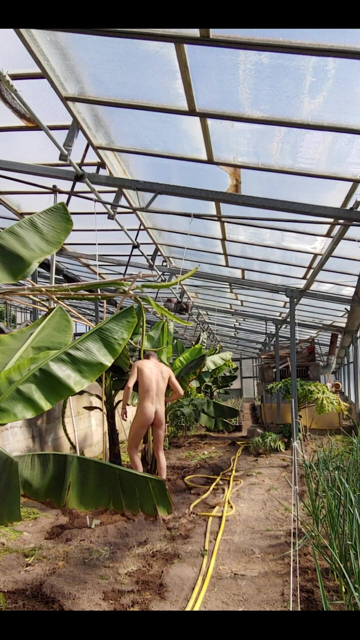 Boy jerking off: Bugil di pedesaanku