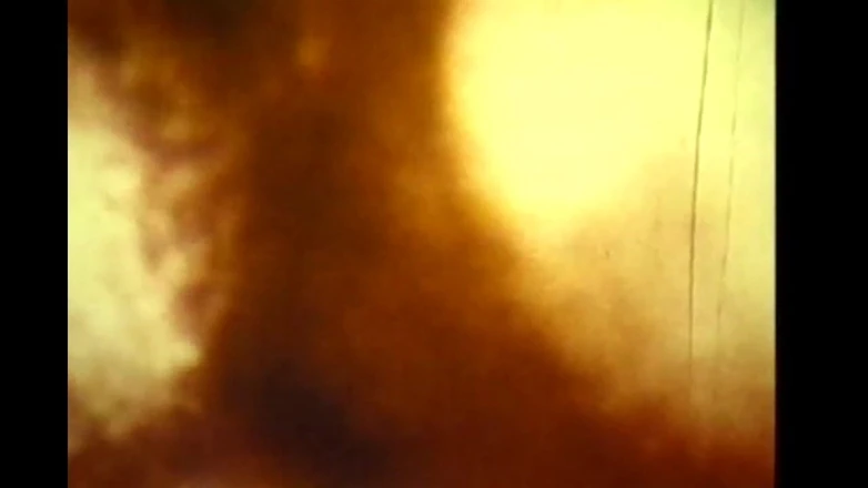 Vintage megastore: Fiesta de trío al aire libre para putas corridas en...