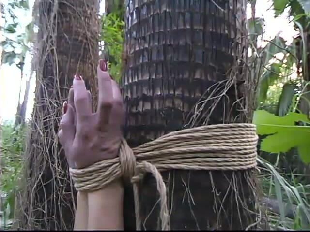 Hogtied by Kink: ジェニー・リー