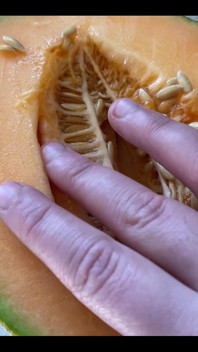 This Is What I Want You to Do to My Hairy Pussy...