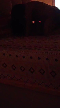 Yenge Ile Mutlu Diwali Bölüm 2