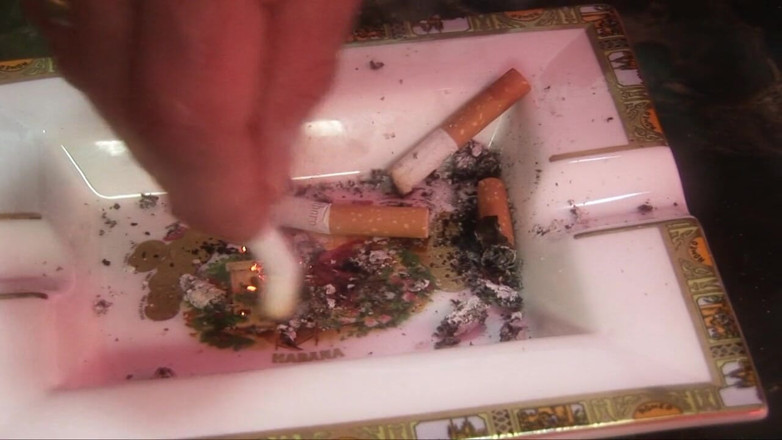 Nicotine Addictz: Kitty ini pengen rokok, masih banyak banget