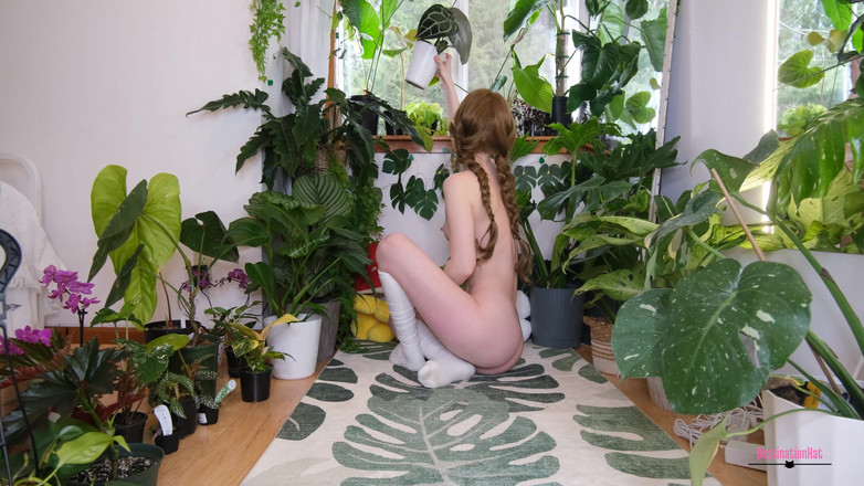 Destination Kat: Planta nua Haul Jan e Feb