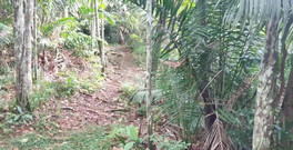 Leyne Rodriguez: Futai în aer liber, partea 2