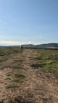 Slave Tih Ie Walks in the Blue Dress