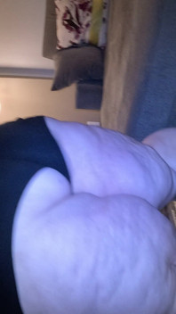 SSBBW Twerk