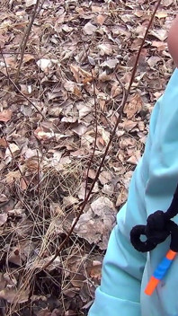 The whore served the client in the forest in full