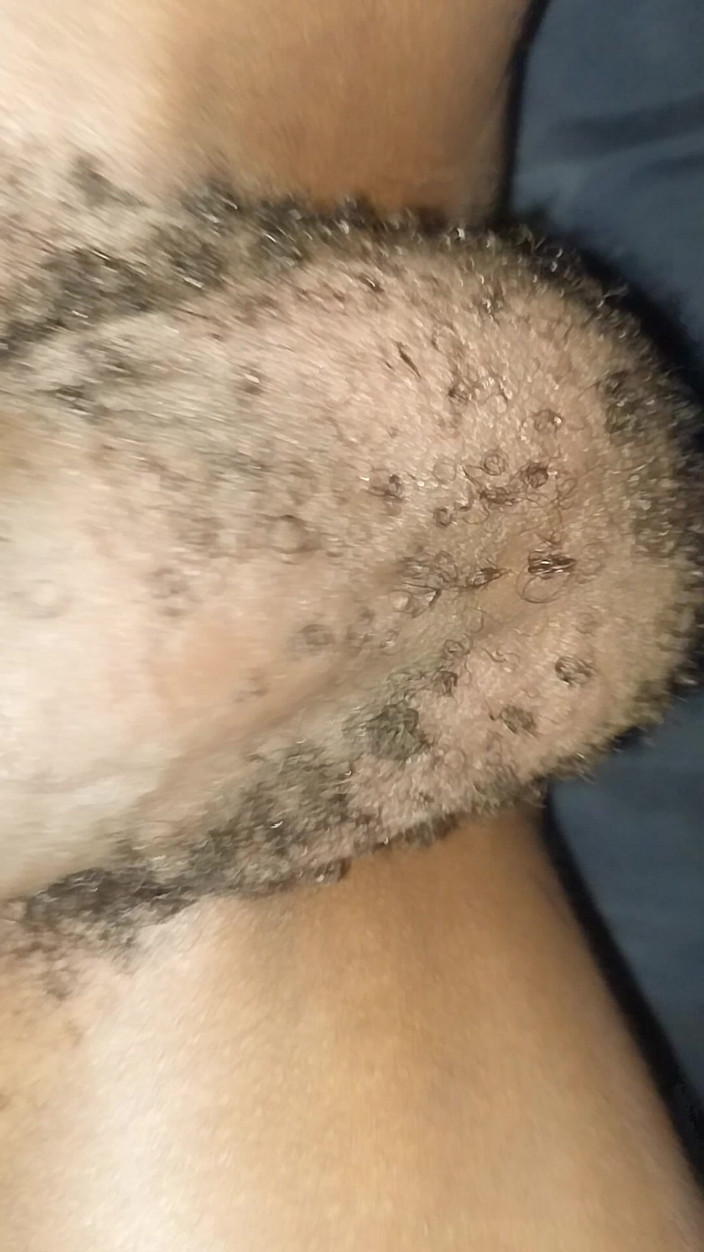 LoVbRo1: Lubang pantat perawan dan sperma hangat di kontol besarku