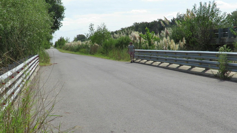 Milfcamsex: Patricia sul ponte sulla strada