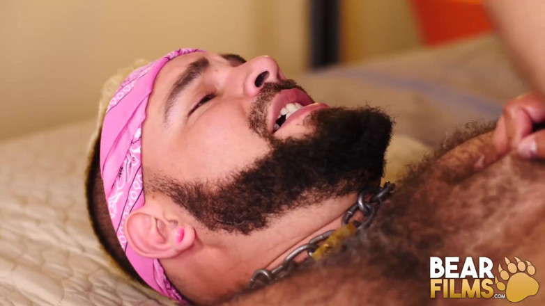 Bear Films: BEARFILMS - Niedźwiedź Anioł Ferrari surowe rasy tłuste homo Luis Vega