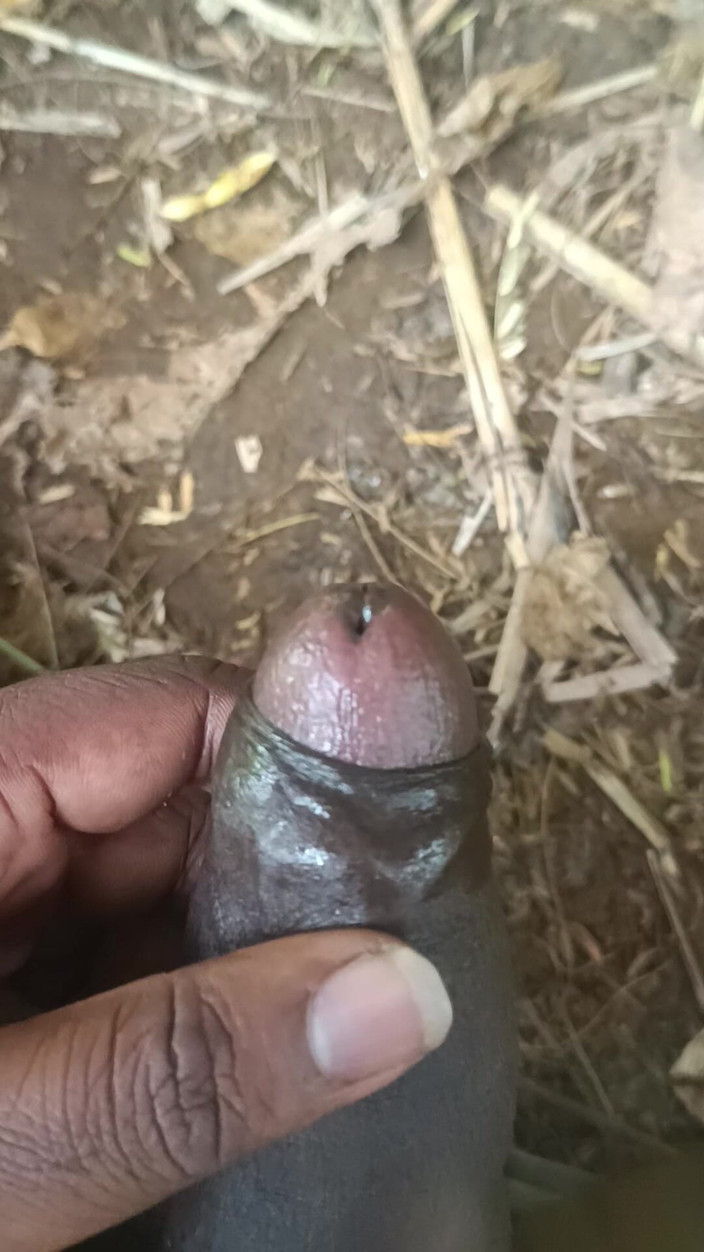 Goodboy_tamil: Sun sikimi öptü