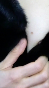 Mink Fur and Small Tits Worship