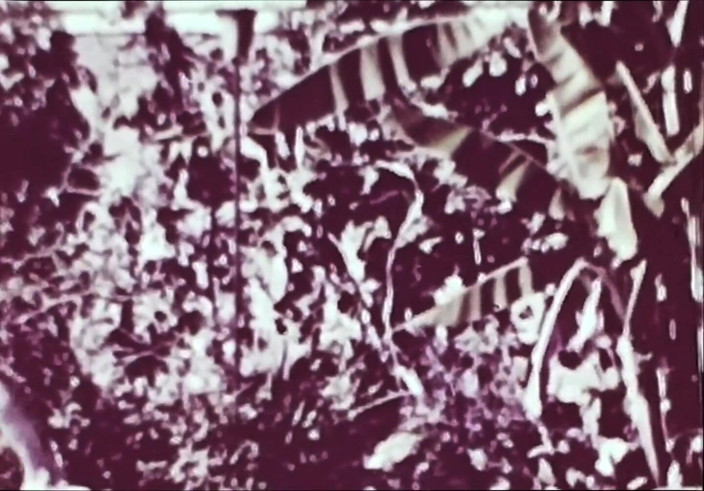 Close Encounter Vintage: Porno retrò teatro erotico vintage - sesso selvaggio 5
