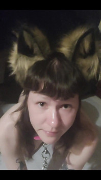 Im Your Pet