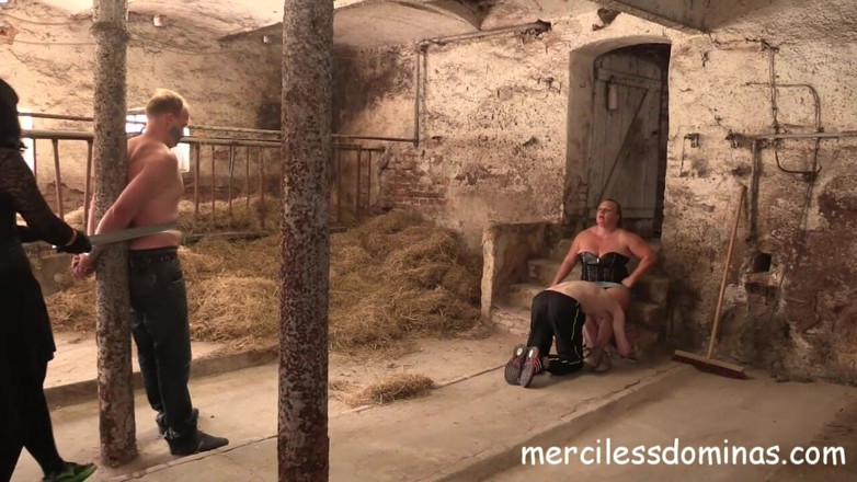 Merciless Dominas: Stable Boys