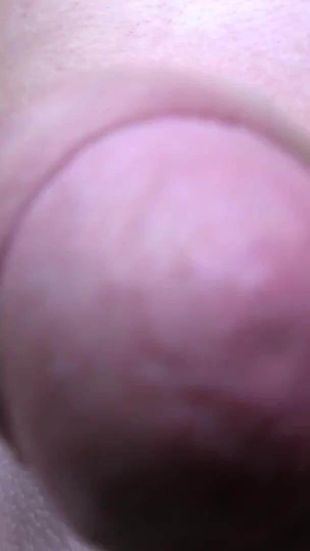 The Noisy Neighbour (TS Katie Fox)