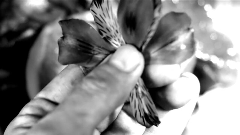 Kane Santiago: Hand Fetish - My Hands Destroying Flowers and Fruit