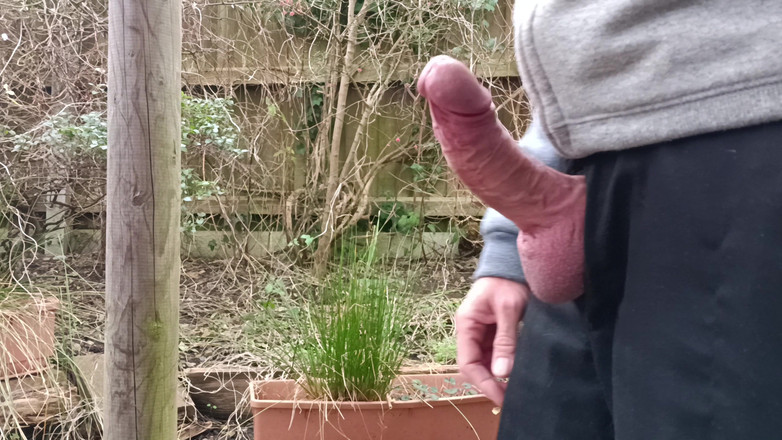 Rockardglans: Zakar besar yang belum disunat membesar, melancap, pinggir, pancutan mani