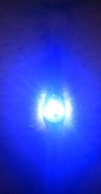 Light up My Ass