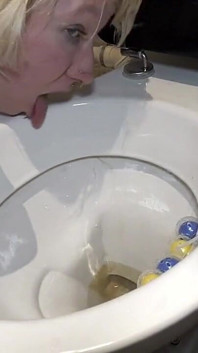 従順な痴女トイレットペーパーホルダーとトイレリッカー