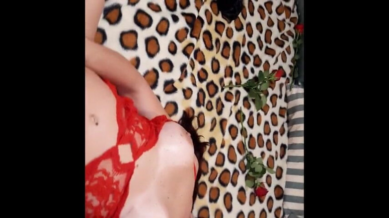 Zeeboy77: Vildkatt anal nöjen